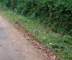 50 ft² – 50 cent land pattambi, ongallur,kalladipatta