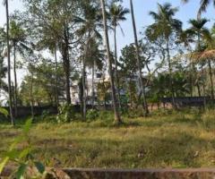 Land with 8 mtr wide road in Mundampalam, Kakkanad