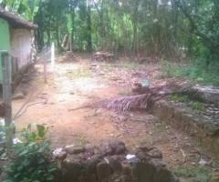 6500 ft² – House plot at Vengoor for sale