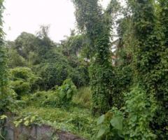 30 ft² – 30 cent of land in Maradu ,Ernakulam for sale