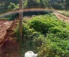 40 ft² – House plot in Vythiri Near Pookodu Lake