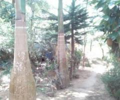 Studio, 750 ft² – 10 Cent with a Home Rs.9 Lakh in Wayanad