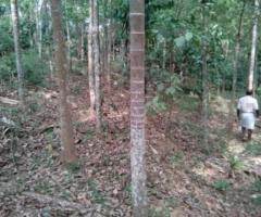 4 ft² – 30000/Cant resident Land in Wayanad Eachom