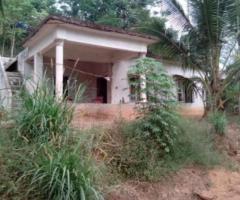 Studio – 1200 Sft Home with 1Acr 30 Cent Land in Meenagadi Wayanad