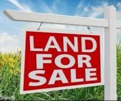 Land for Sale in Malappuram Nilambur