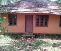 Studio, 650 ft² – 7 Cent with a Home Rs.6 Lakh in Wayanad