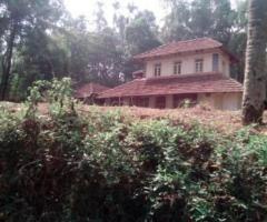 Studio, 2500 ft² – An Illom with 4.25 Acr Land Rs. 19 Lakh/ Acr