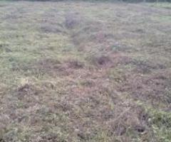 Residential land, Puthiyangadi, Kozhikode