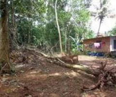 10 cent plot for sale Tripunithura, Thiruvamkulam (3.80 L)