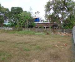 6 cent plot for sale near karingachira tripunithura 6 L/cent.