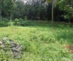 20 cent plot for sale near vennikulam tripunithura 3.50 L/cent.