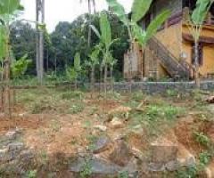 plot 7 cent sale near vennikulam thiruvamkulam,tripunithura 3.70