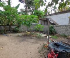 plot 1.950 cent for sale near pavamkulangara tripunithura 8.25 L