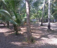 17cent residential land for sale in Munnamkutty,Kayamkulam