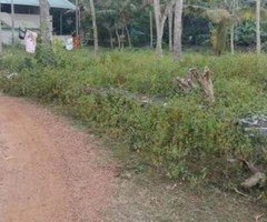 1001700 ft² – 23 cent Residential Land / plot for sale in Andoorkonam