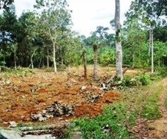 40 cent square plot for sale at kappadu Kanjirappally