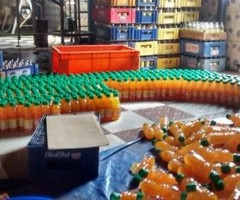 Mango Juice Plant Sales - Image 2