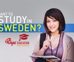 Study abroad consultants for Sweden in Trivandrum|Riya Education