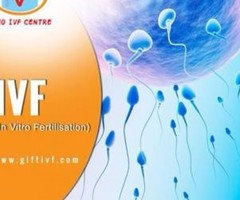 Best IVF In Kochi - Conceive Your Baby With Affordable Cost