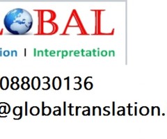 Chinese,Russian,Italian,French Translation 8088030136