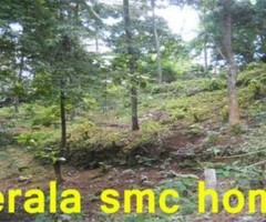15225 ft² – 35 Cent land Sale in Malamukal near Nettayam