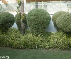 REALSIGHT GARDENS FOR LANDSCAPE, PLANTSCAPE & VARIETY GARDENING - Image 1