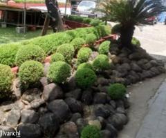 REALSIGHT GARDENS FOR LANDSCAPE, PLANTSCAPE & VARIETY GARDENING - Image 2