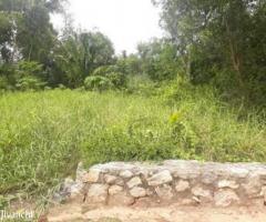 3 BR, 100 ft² – 6.25 cent 1000 sqft house for sale at Kumarapuram. - Image 2