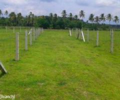 436 ft² – Fenced House plots in Elappully, at Rs.70000/Cent Negotiable. - Image 3