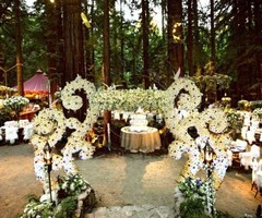 Wedding Planner in  Kochi - Fonix Events - Image 2
