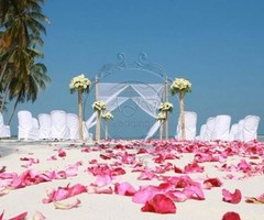 Wedding Planner in  Kochi - Fonix Events - Image 4
