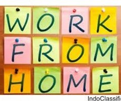 Home Typists Needed - Make Rs.600 /day