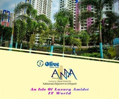 3 & 2 BHK Luxury Apartments - Olive Kalista - Image 4