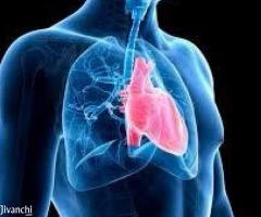 Effective Lung Surgery In Kochi - Image 1