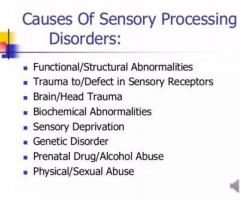 Break The Walls Of Sensory Processing Disorders - Image 3