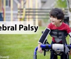 Cost Effective Ayurvedic Cerebral Palsy Treatment - Image 1