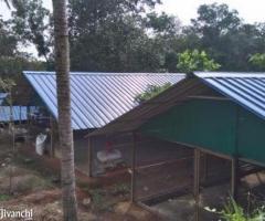 1300 ft² – 1.25 acre poultry farm with 3BHK for sale