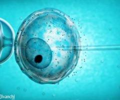 IVF In Kochi You Can Conceive Your Baby With Affordable Cost - Image 2