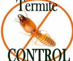 CAN,Industrial Pest Control,Thrissur Town, Thrissur, Trichur - Image 2