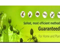 CAN,Industrial Pest Control,Thrissur Town, Thrissur, Trichur - Image 3