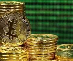 https://www.cryptoerapro.com/the-bitcoin-trader/