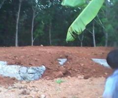 1450 ft² – 30cent residential land for sale cent price 55000 - Image 2