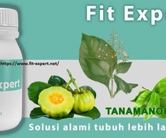 https://www.fit-expert.net/