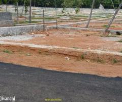 1740 ft² – Divided Plots can be sale in Venjaramoodu near Parameswaram