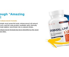 https://primalunitxlweb.wixsite.com/official-website