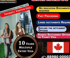 Immigration Consultants For Canada