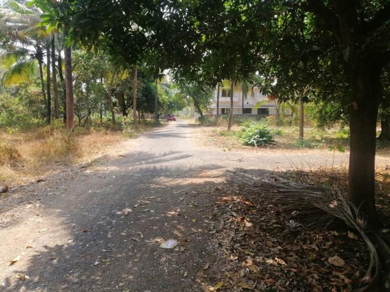 RESIDENTIAL LAND FOR SALE IN PERAMANGALAM - 1