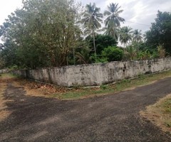 10236 ft² – Land for sale in Mundur Thrissur. - Image 2