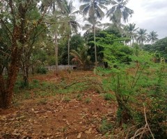 10236 ft² – Land for sale in Mundur Thrissur. - Image 3