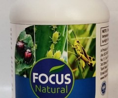 THE FOCUS NATURAL - Image 2